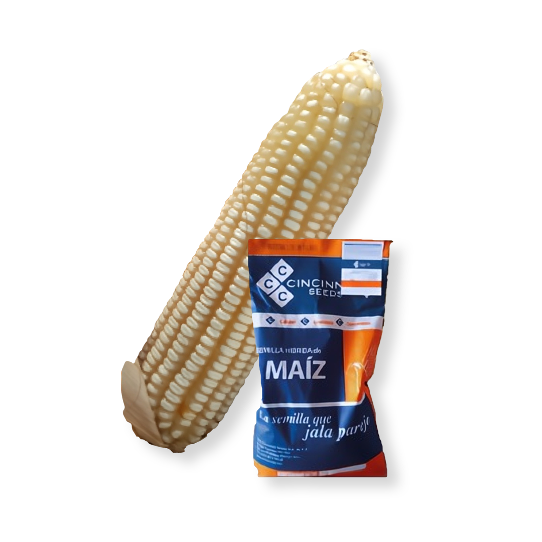 San Mateo